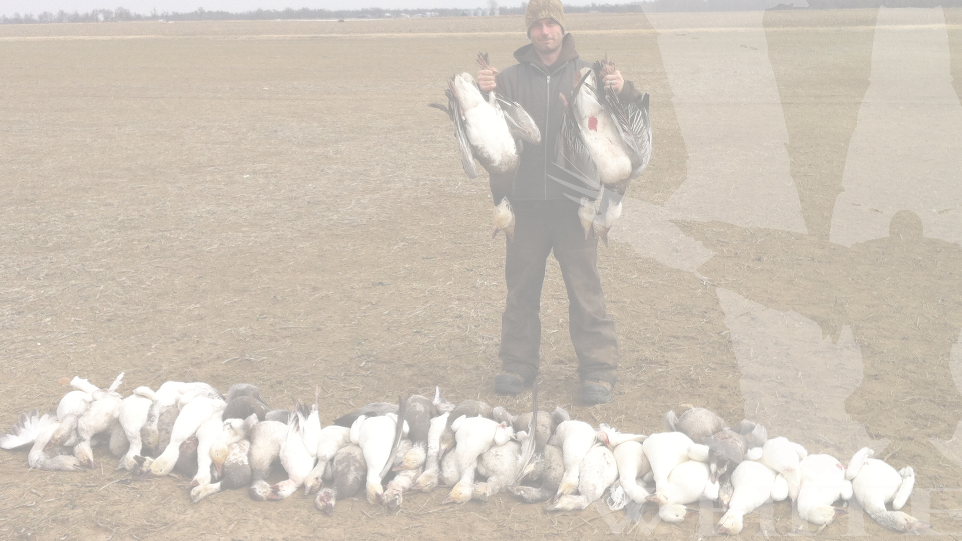 Snow Goose Hunting Outfitter