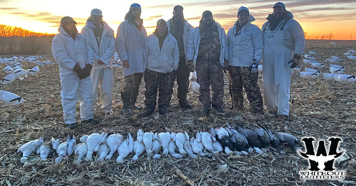 Missouri Spring Snow Goose Hunting with Whiteout Outfitters