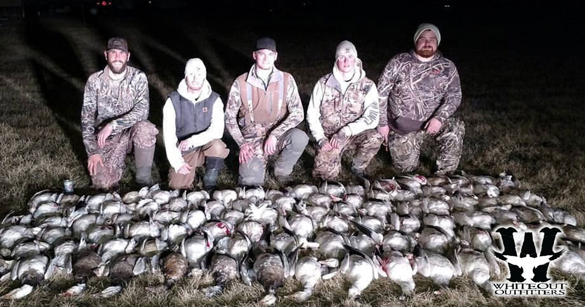 Experience the Thrill of Snow Goose Hunts with Whiteout Outfitters