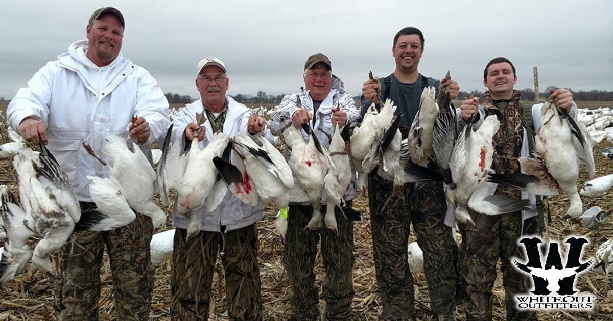 True-to-Life Expectations for a Spring Snow Goose Hunt with Whiteout Outfitters