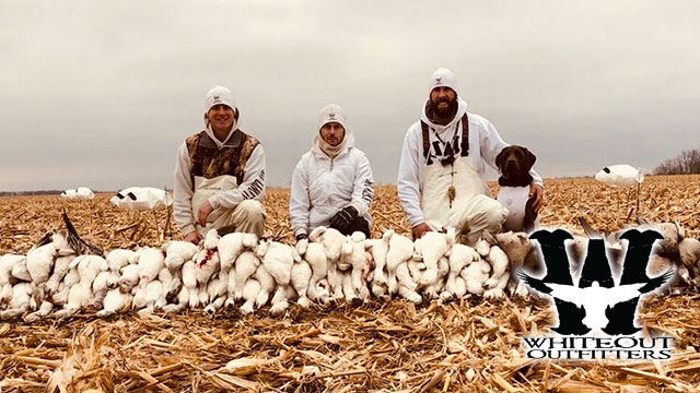 Spring Snow Goose Hunt Expectations