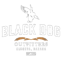 Black Dog Outfitters Alberta
