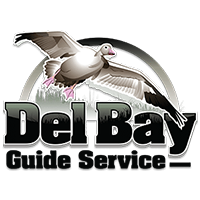 Del Bay Guide Service