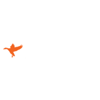 Sillosocks