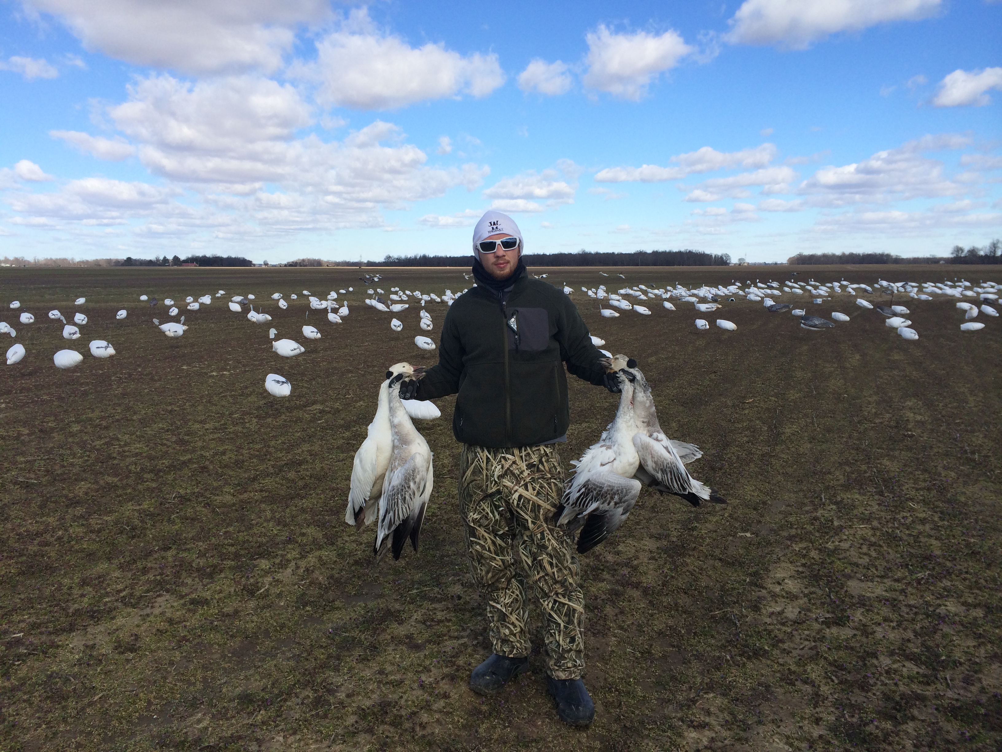 Whiteout Outfitters Spring Snow Goose Hunts arkansas-snows5.jpg