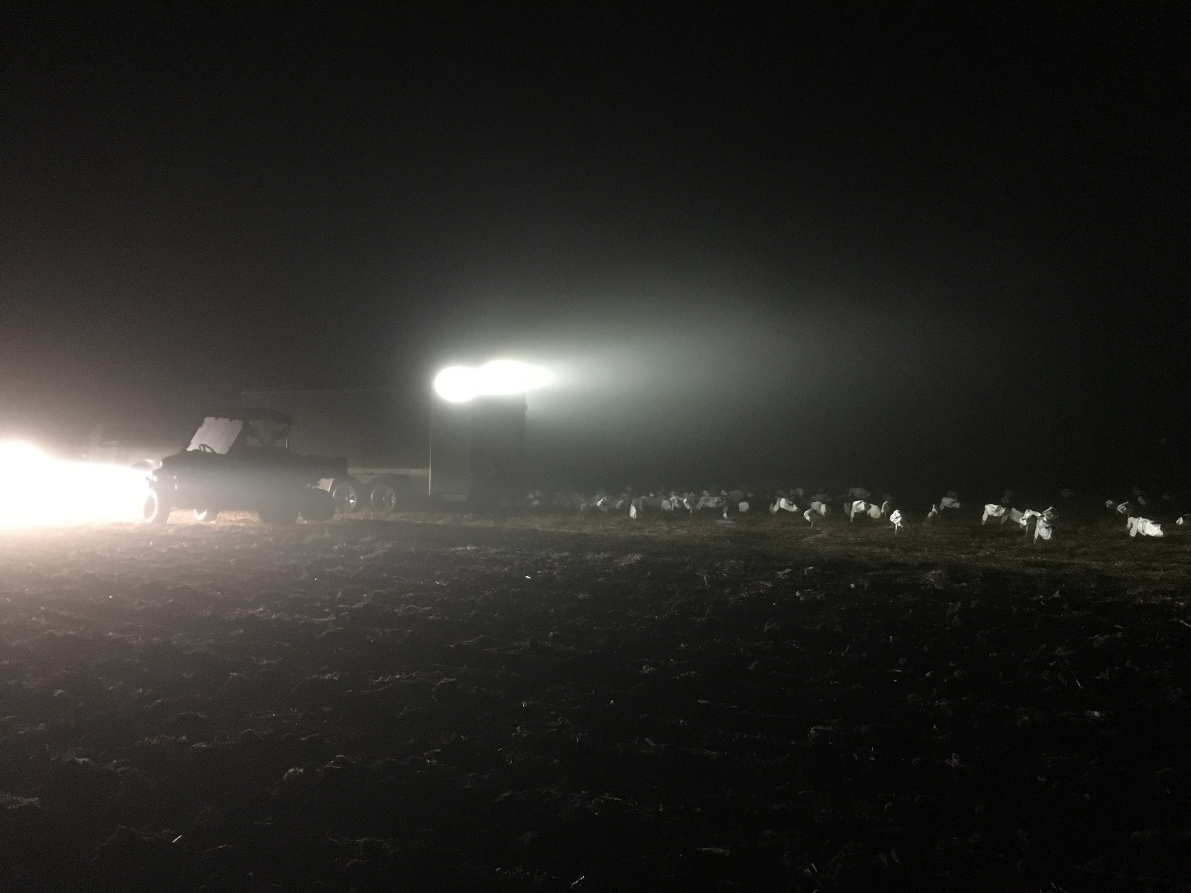 Whiteout Outfitters Spring Snow Goose Hunts IMG_0710.jpg