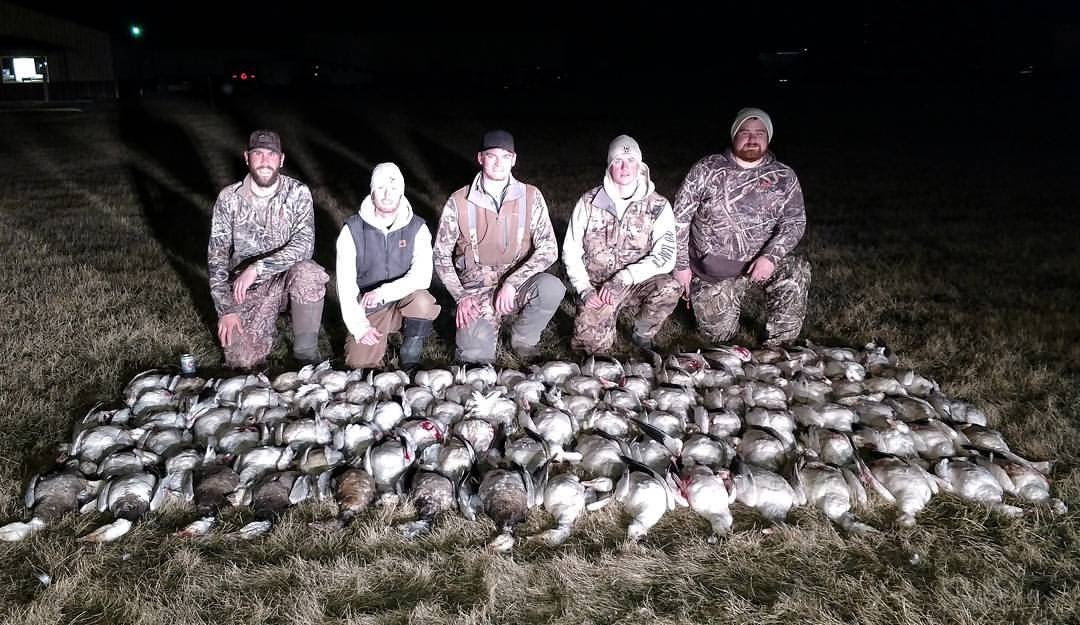 Whiteout Outfitters Spring Snow Goose Hunts IMG_0722.jpg