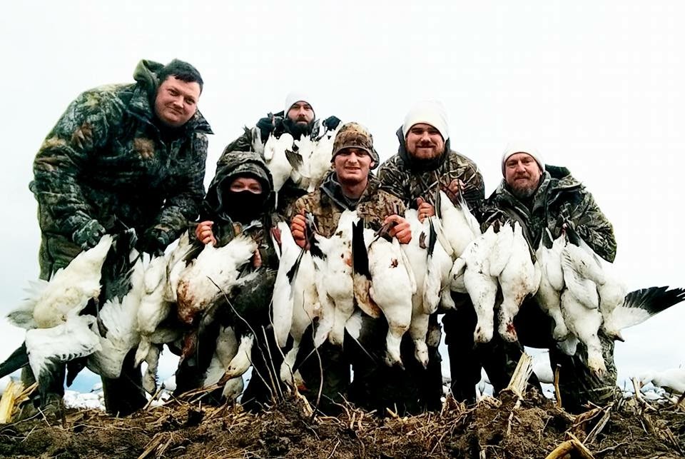 Spring Snow Goose Hunting Journal