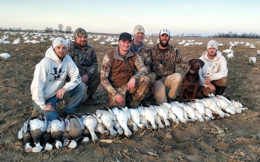 Whiteout Outfitters Spring Snow Goose Hunts IMG_0725.jpg