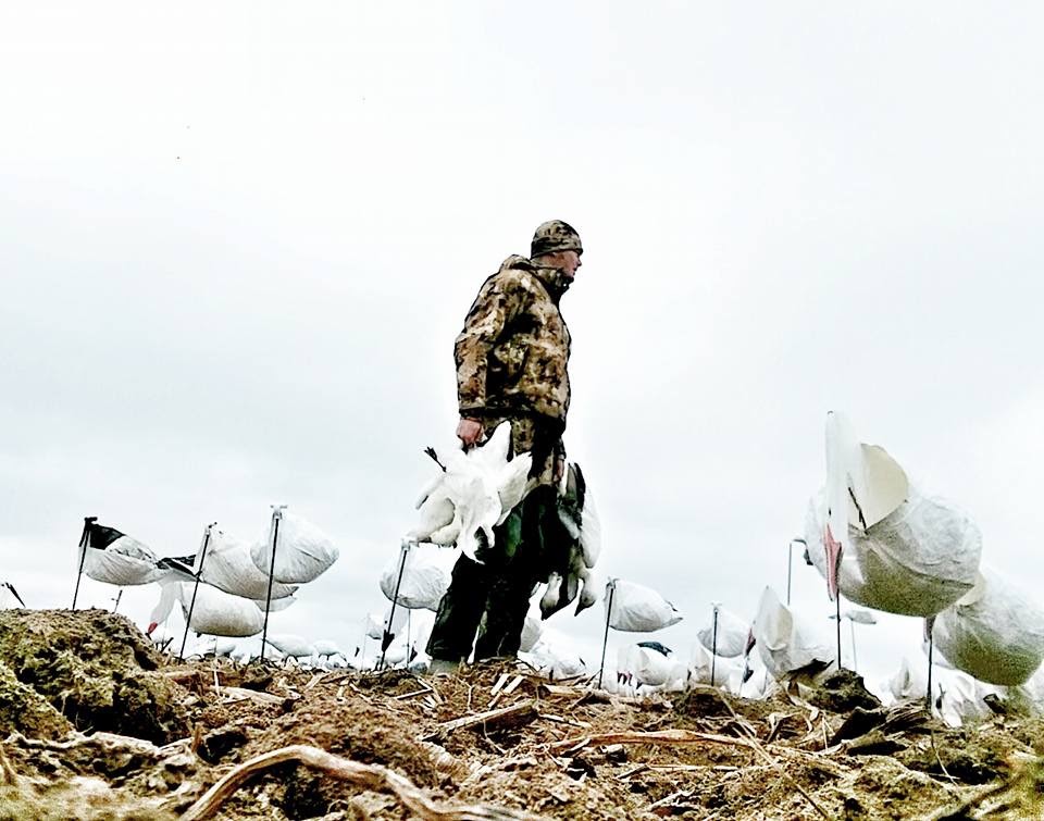 Whiteout Outfitters Spring Snow Goose Hunts IMG_0731.jpg