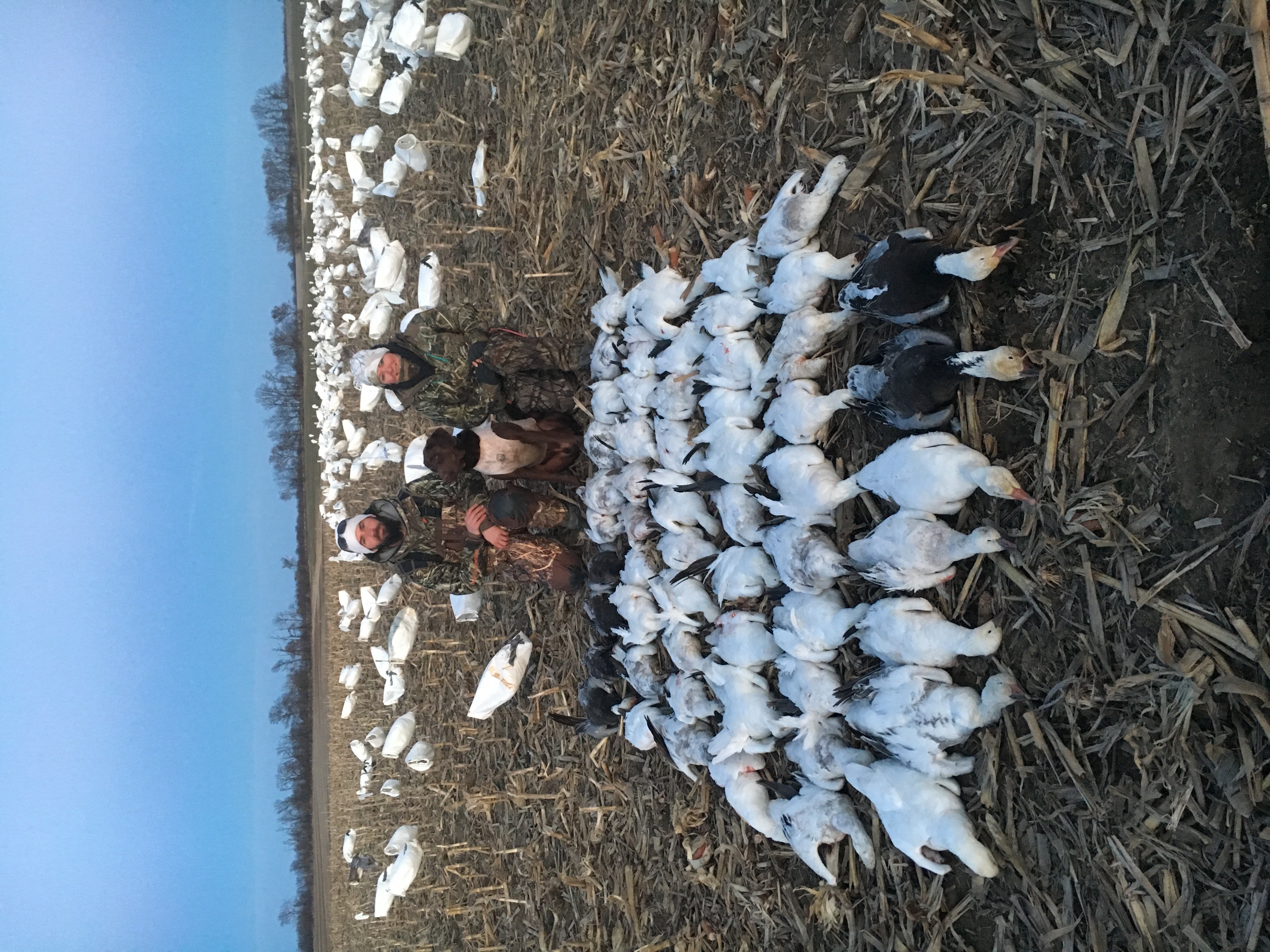 Whiteout Outfitters Spring Snow Goose Hunts IMG_1142.jpg