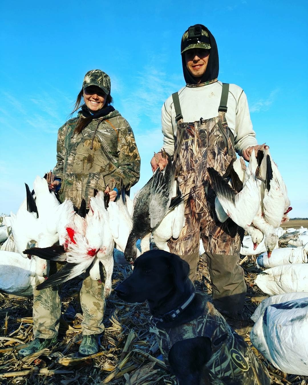 Whiteout Outfitters Spring Snow Goose Hunts IMG_2897.jpg