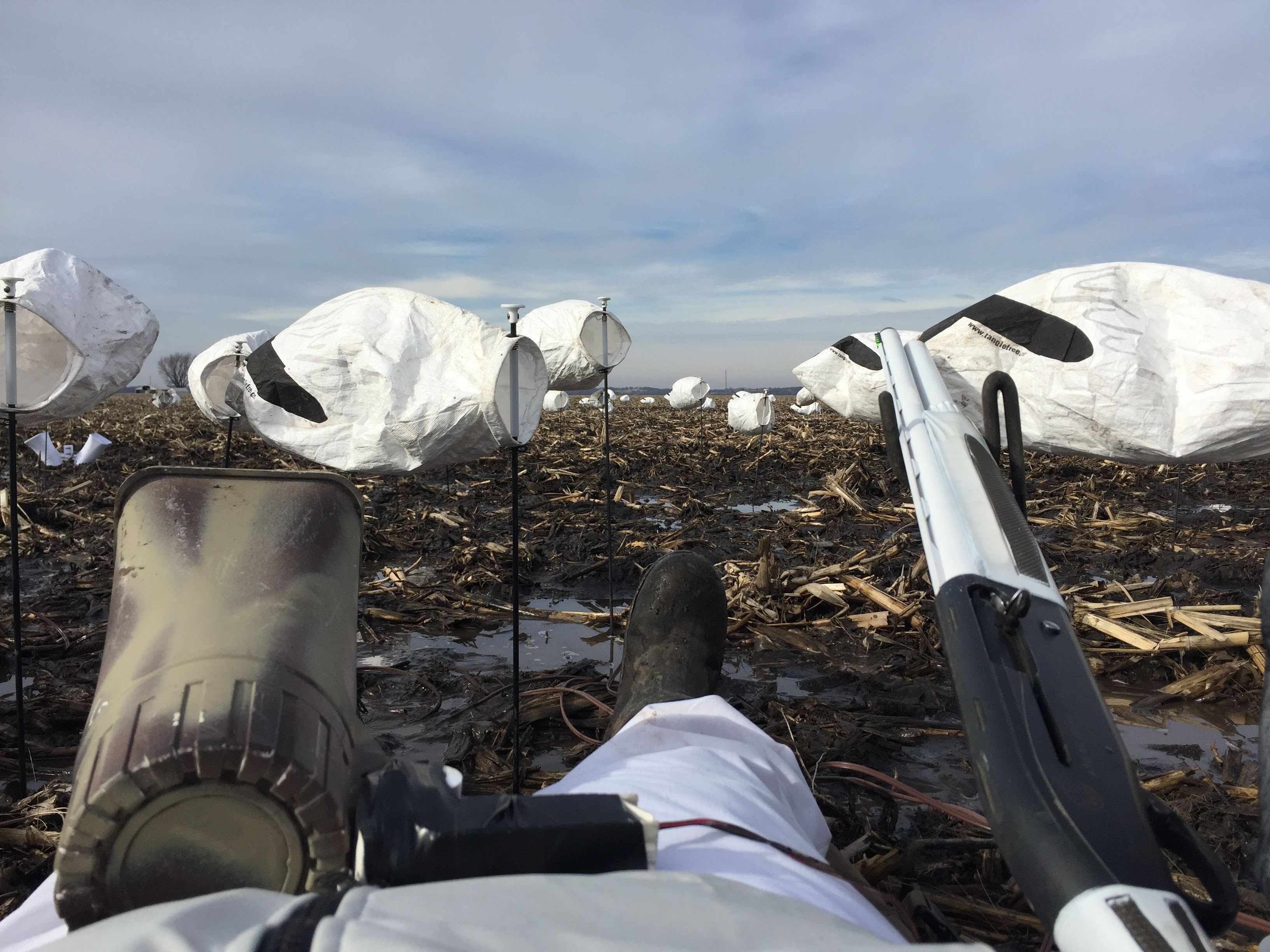 Spring Snow Goose Hunts Whiteout Outfitters 137