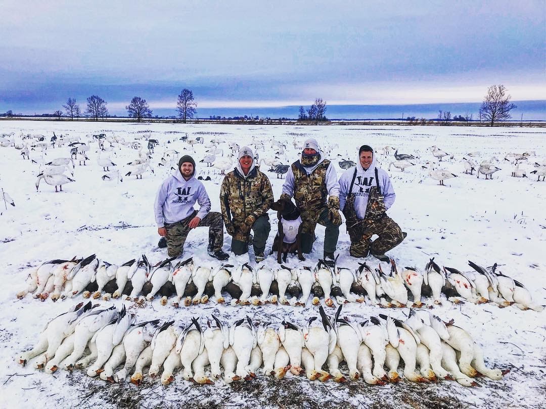Spring Snow Goose Hunts Whiteout Outfitters 143