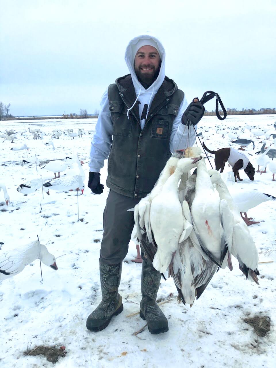 Spring Snow Goose Hunts Whiteout Outfitters 149