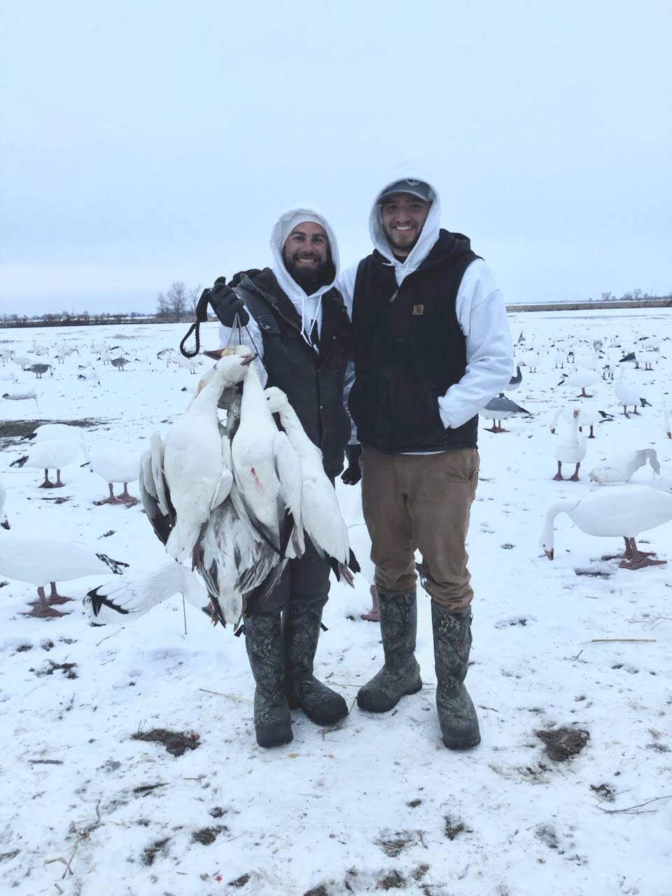 Spring Snow Goose Hunts Whiteout Outfitters 150