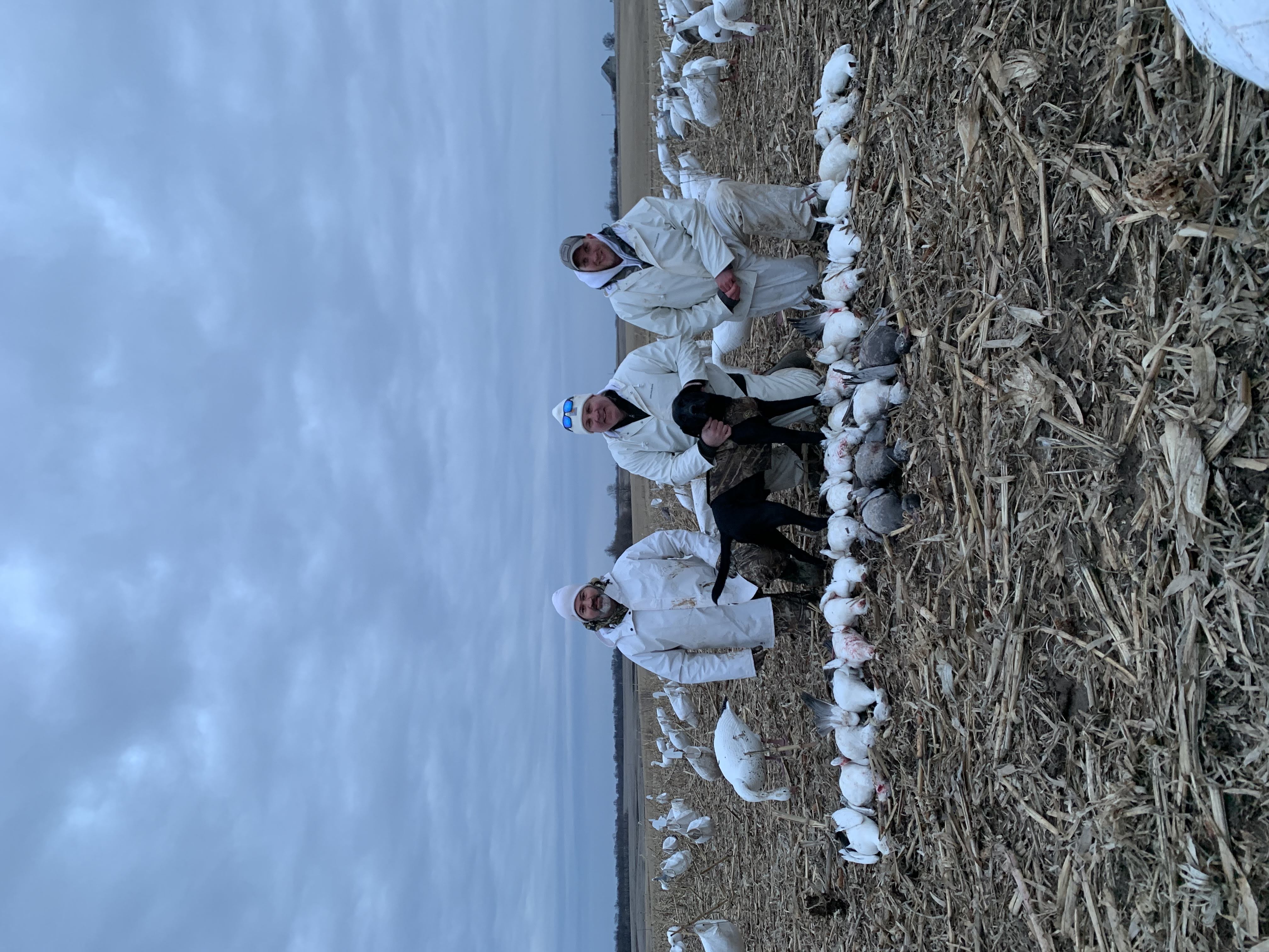 Spring Snow Goose Hunts Whiteout Outfitters 89