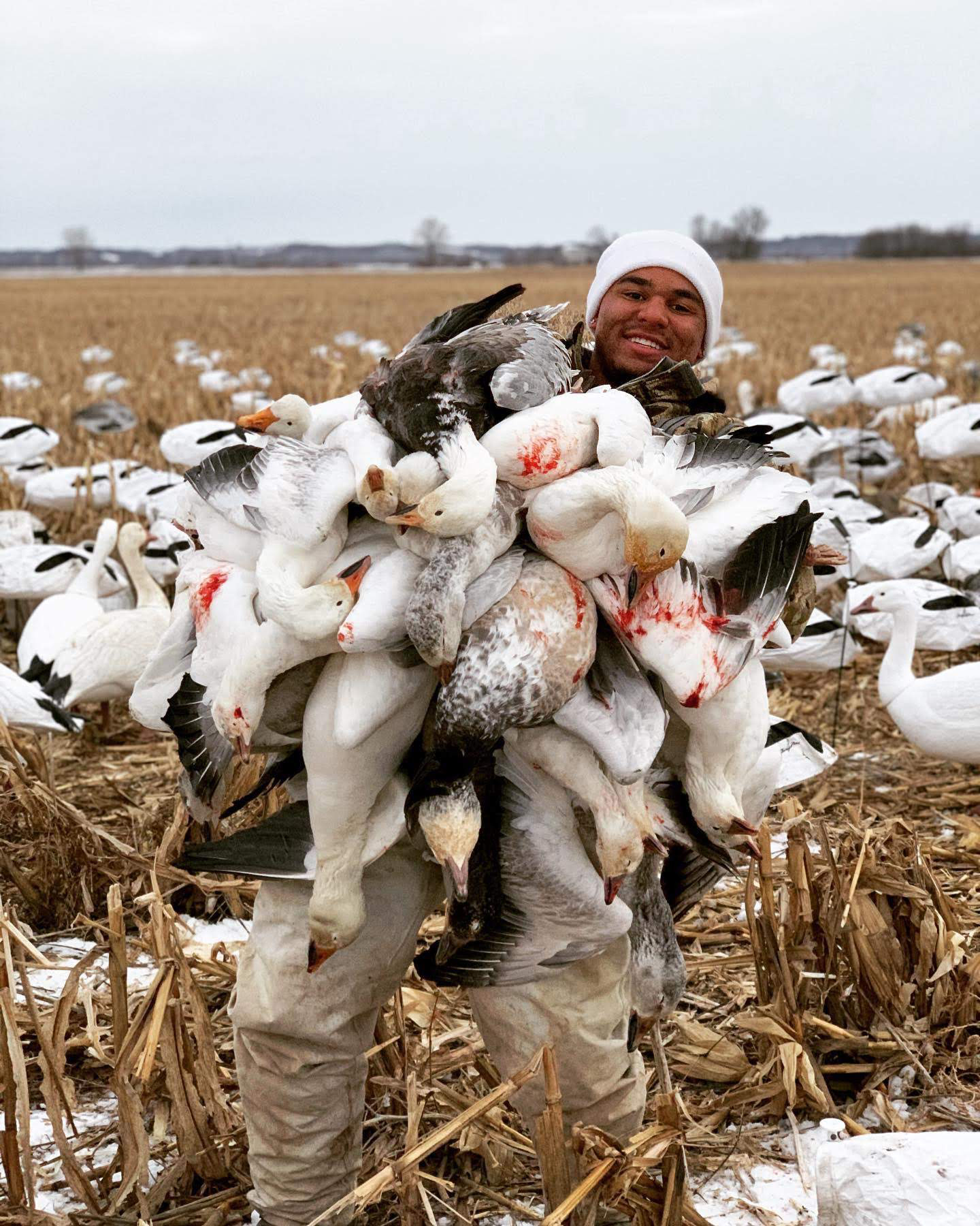 Spring Snow Goose Hunts Whiteout Outfitters 100