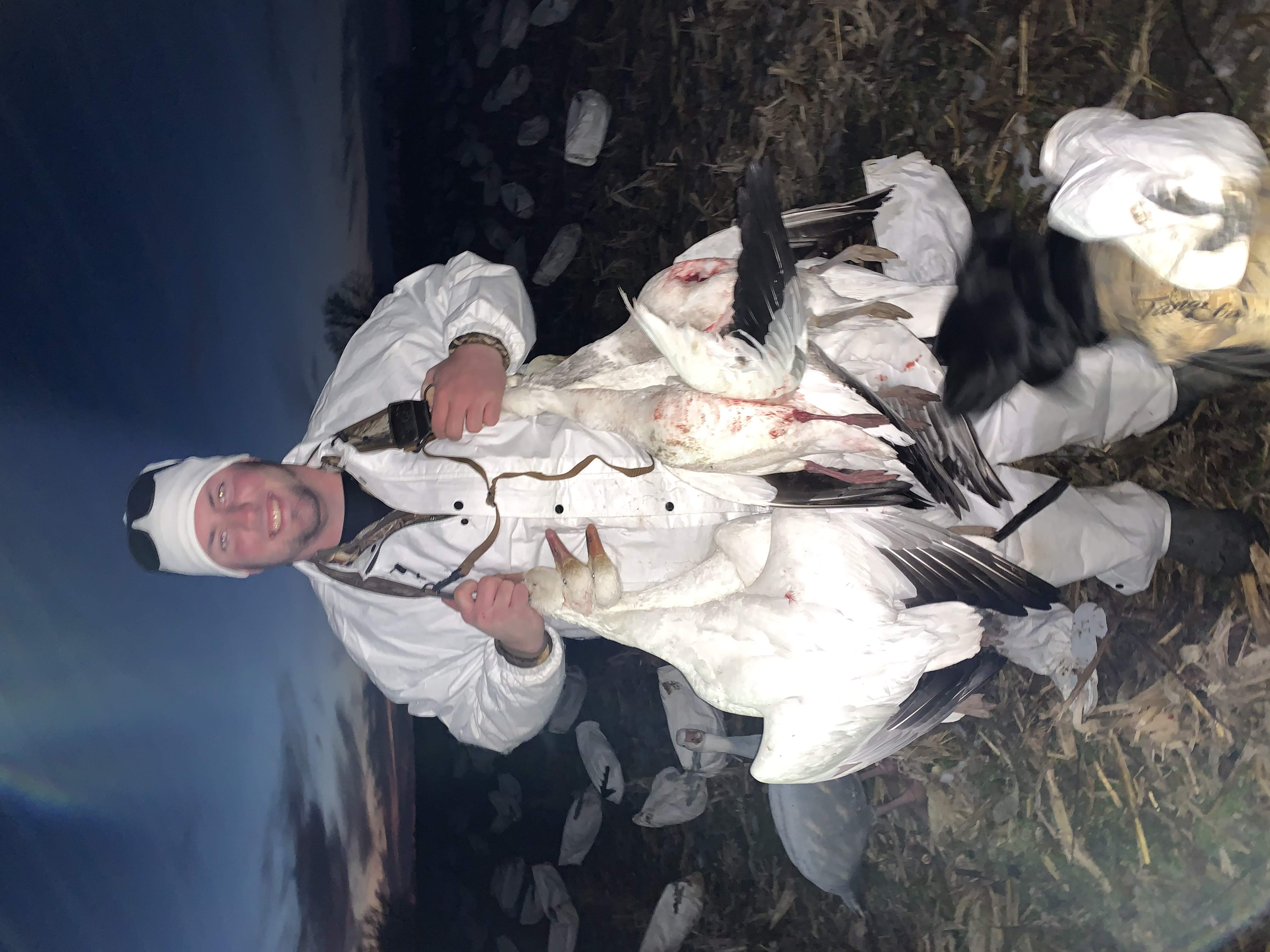 Spring Snow Goose Hunts Whiteout Outfitters 101