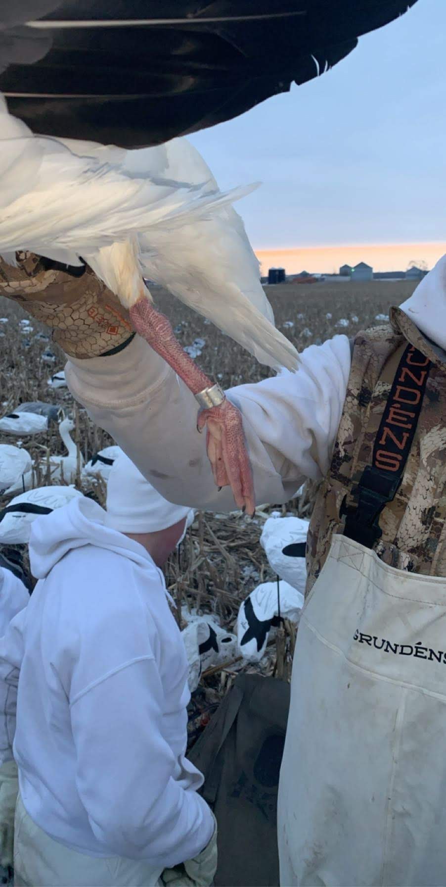 Spring Snow Goose Hunts Whiteout Outfitters 102