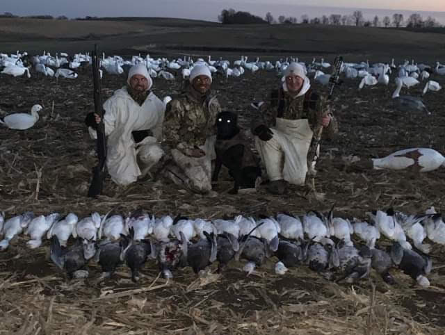Spring Snow Goose Hunts Whiteout Outfitters 104