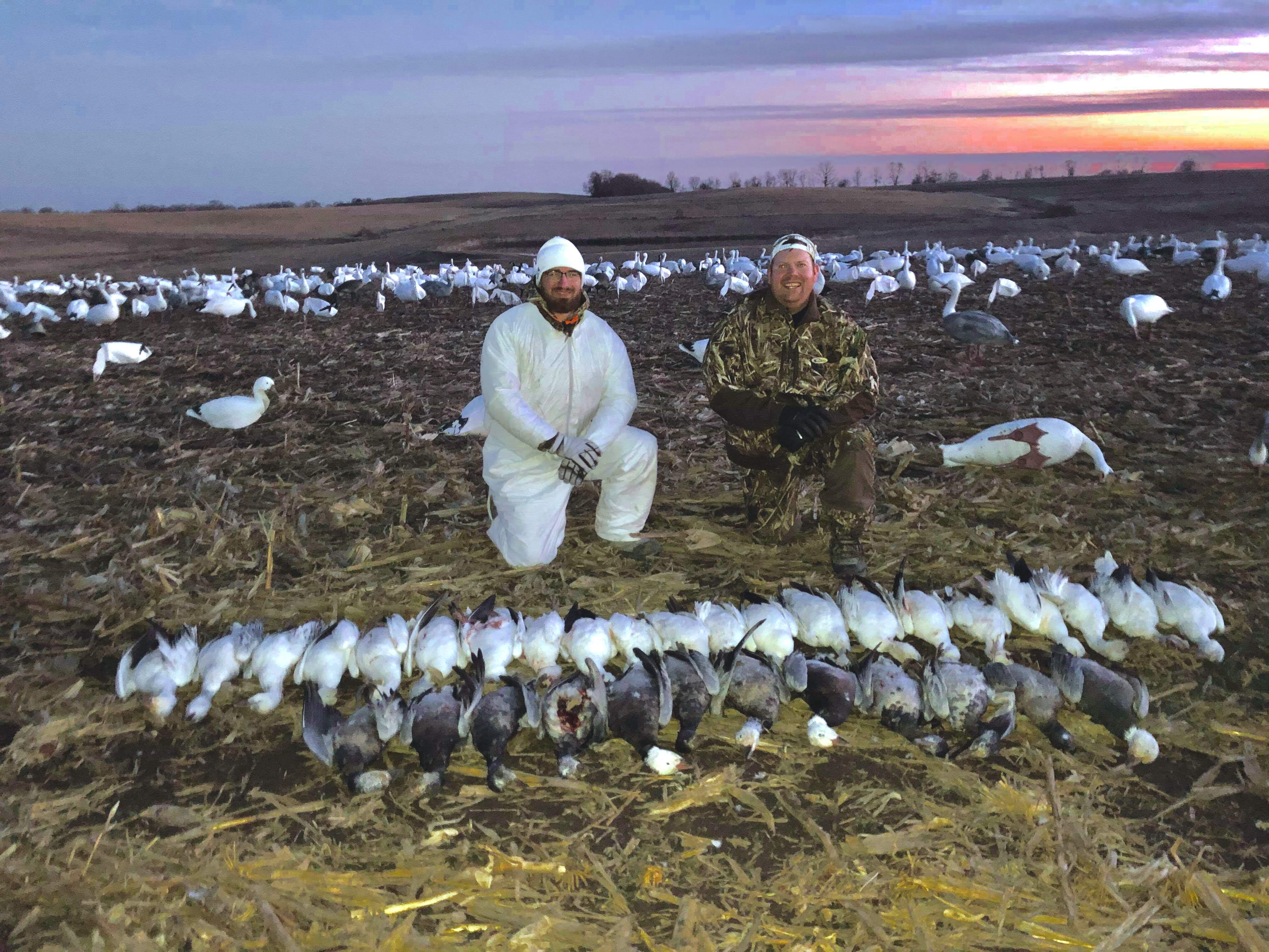 Spring Snow Goose Hunts Whiteout Outfitters 105