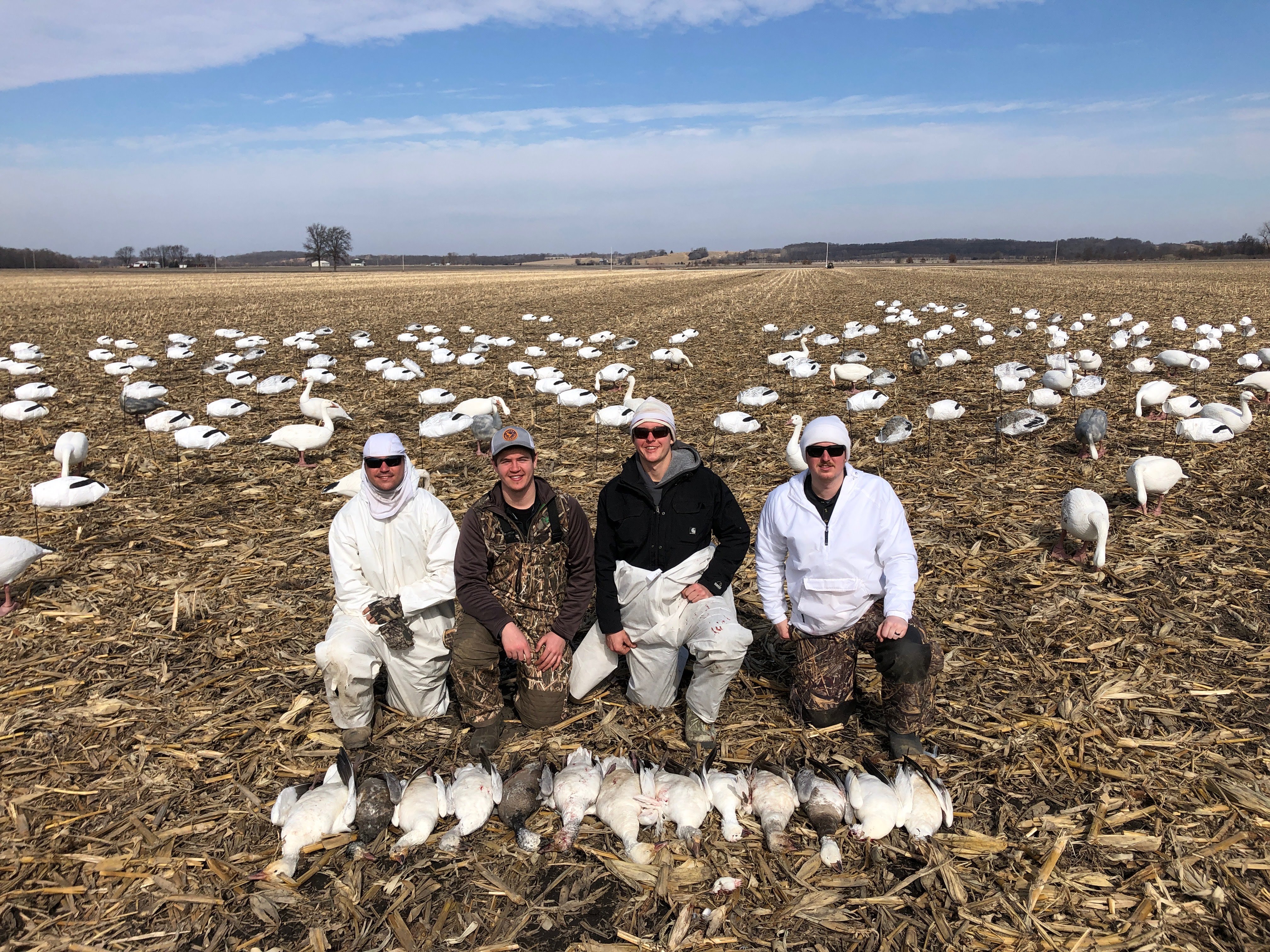 Spring Snow Goose Hunts Whiteout Outfitters 116