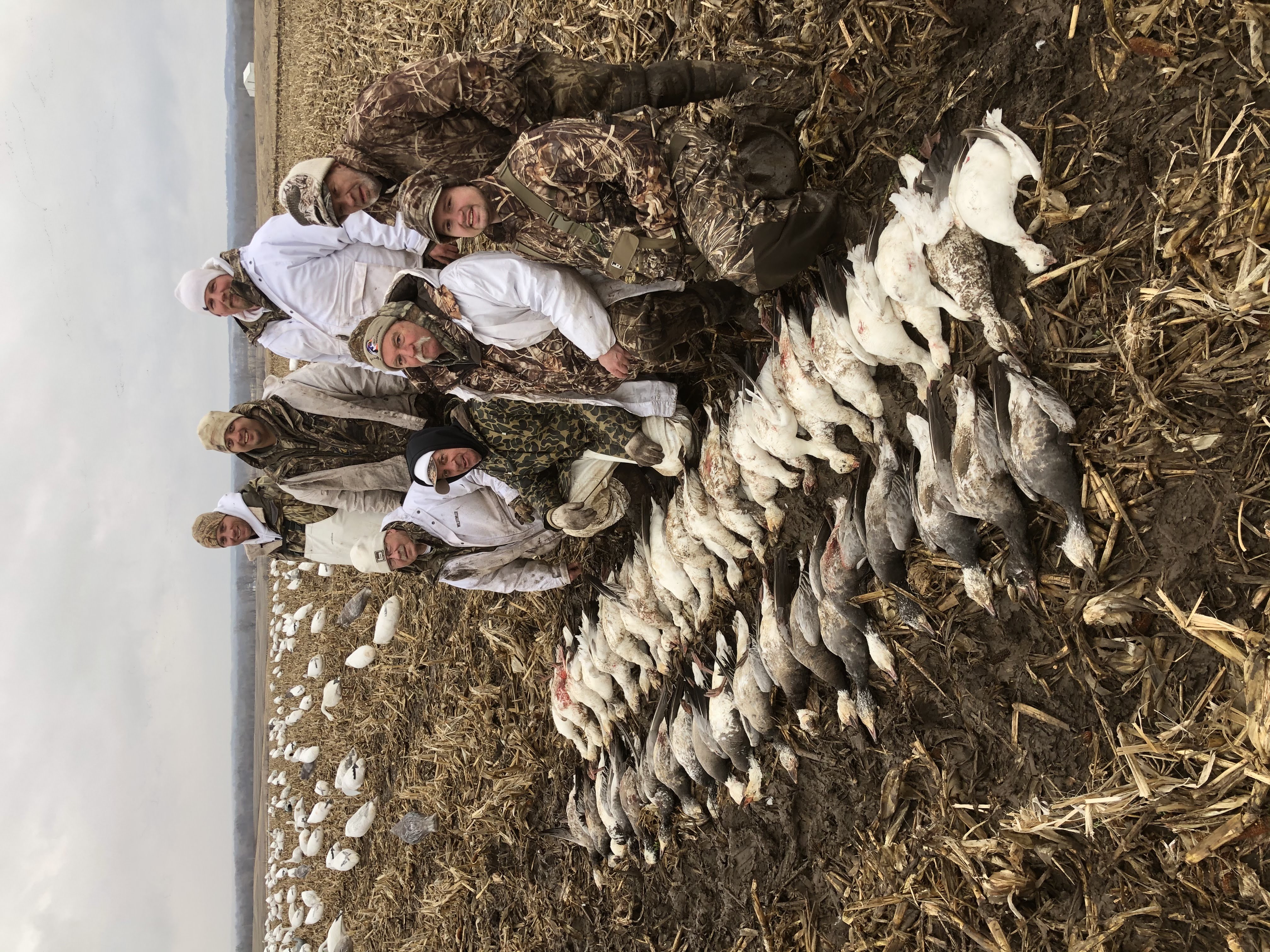 Spring Snow Goose Hunts Whiteout Outfitters 117