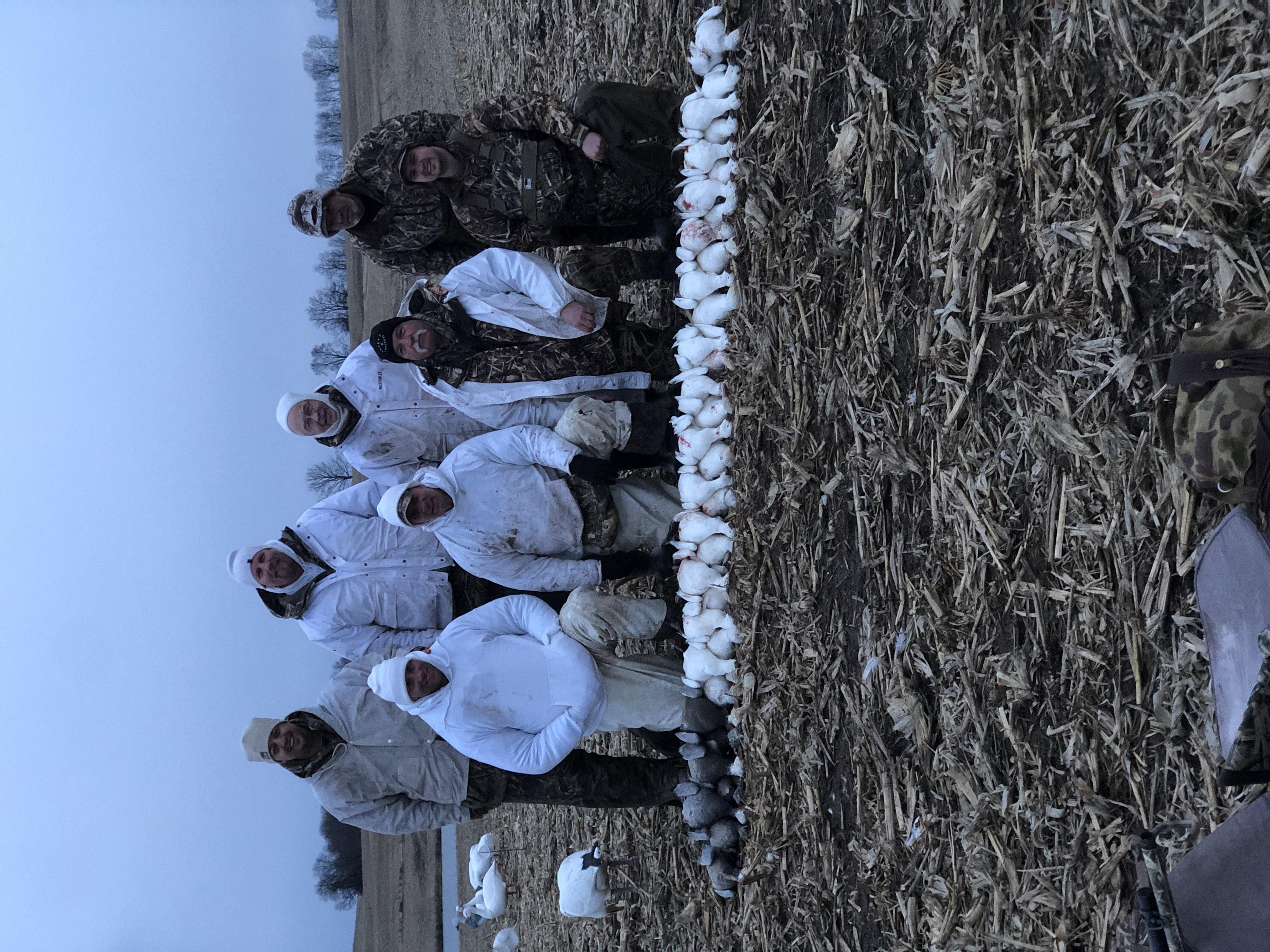 Spring Snow Goose Hunts Whiteout Outfitters 118