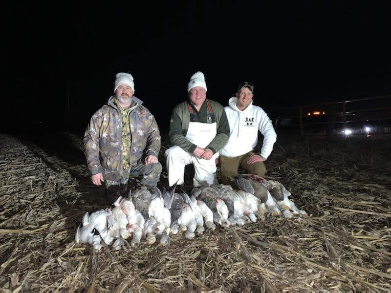 Spring Snow Goose Hunts Whiteout Outfitters 119