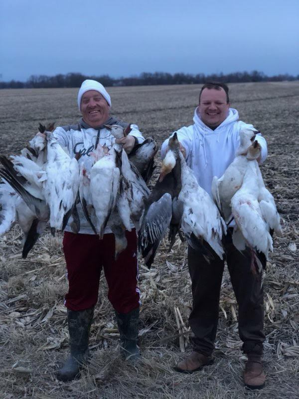 Spring Snow Goose Hunts Whiteout Outfitters 121
