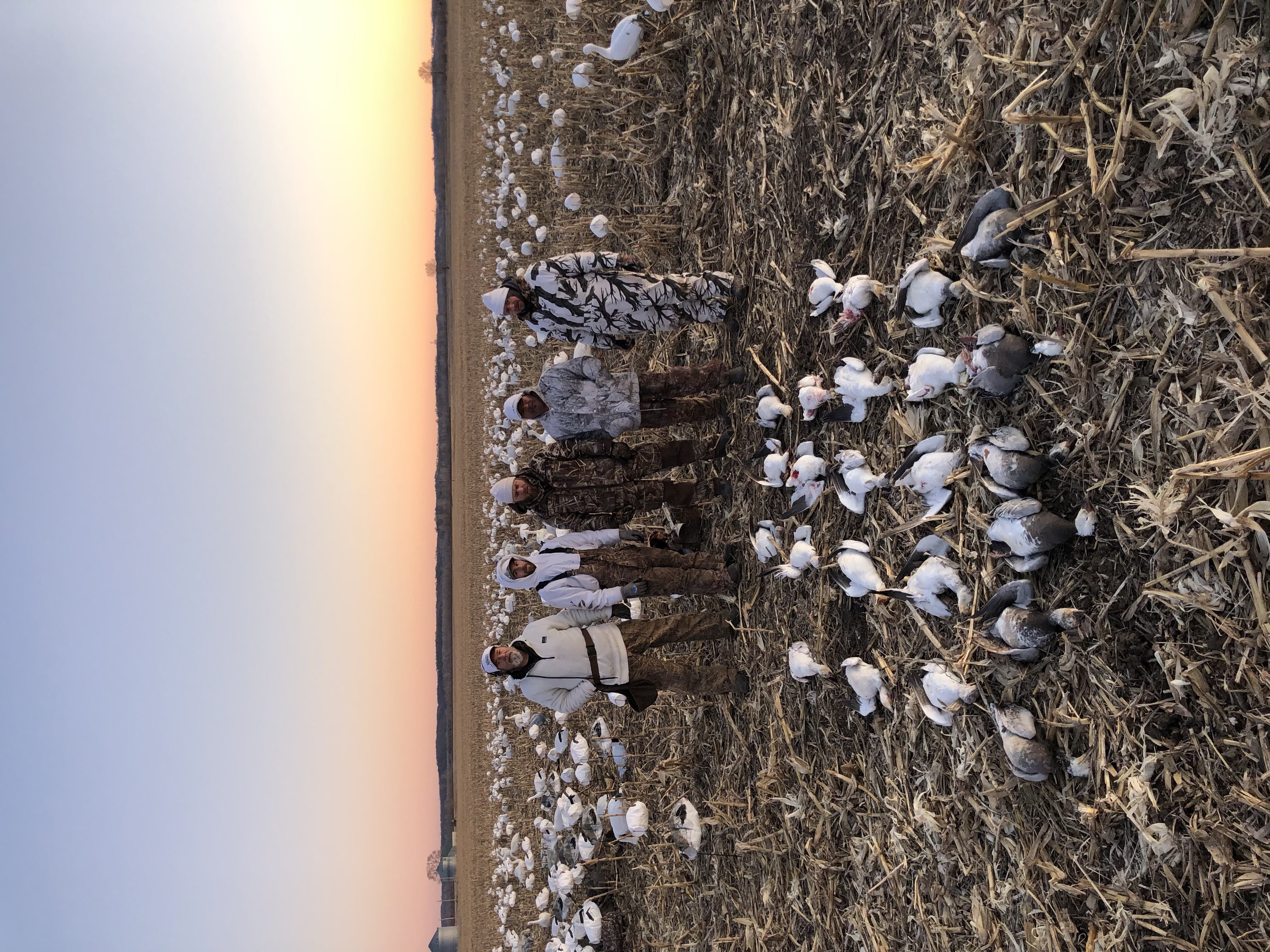 Spring Snow Goose Hunts Whiteout Outfitters 129