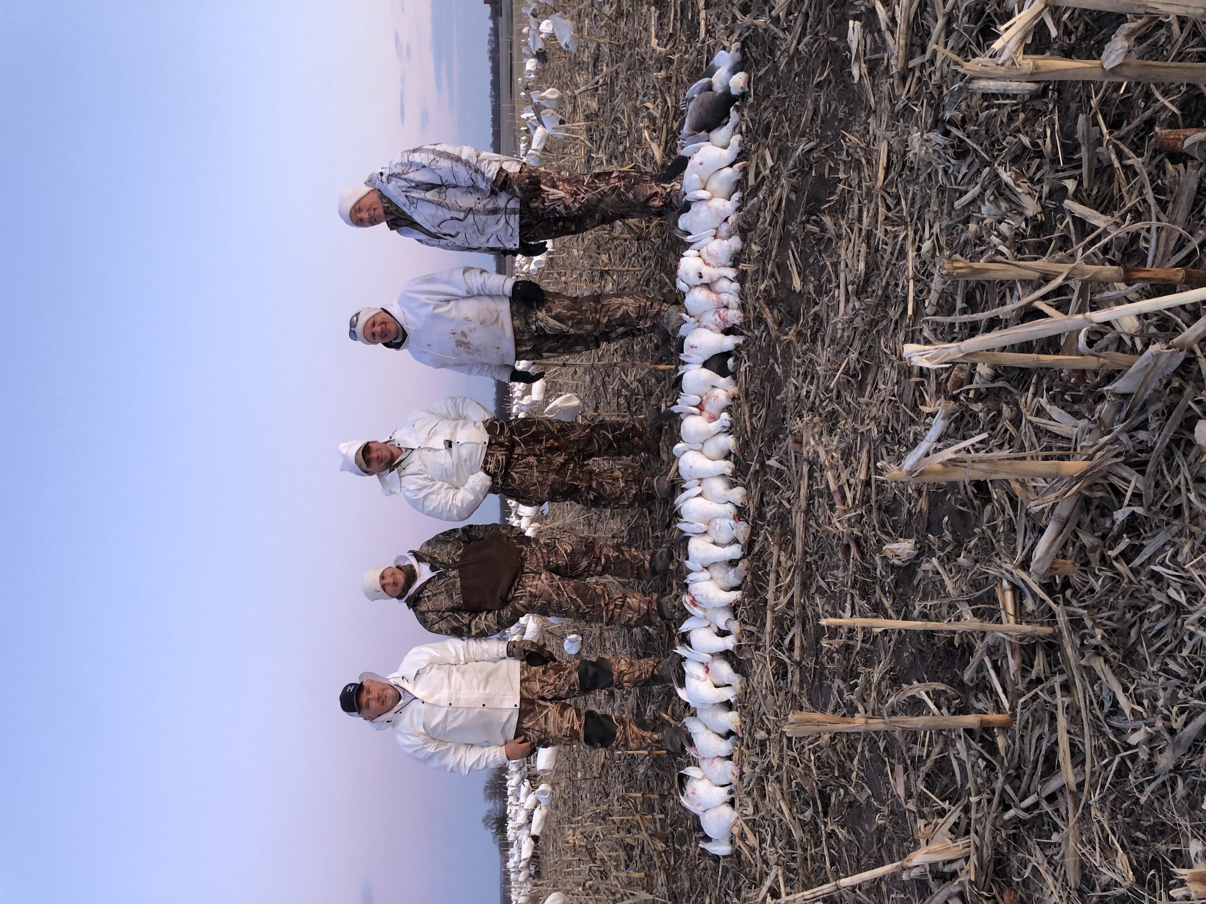 Spring Snow Goose Hunts Whiteout Outfitters 132