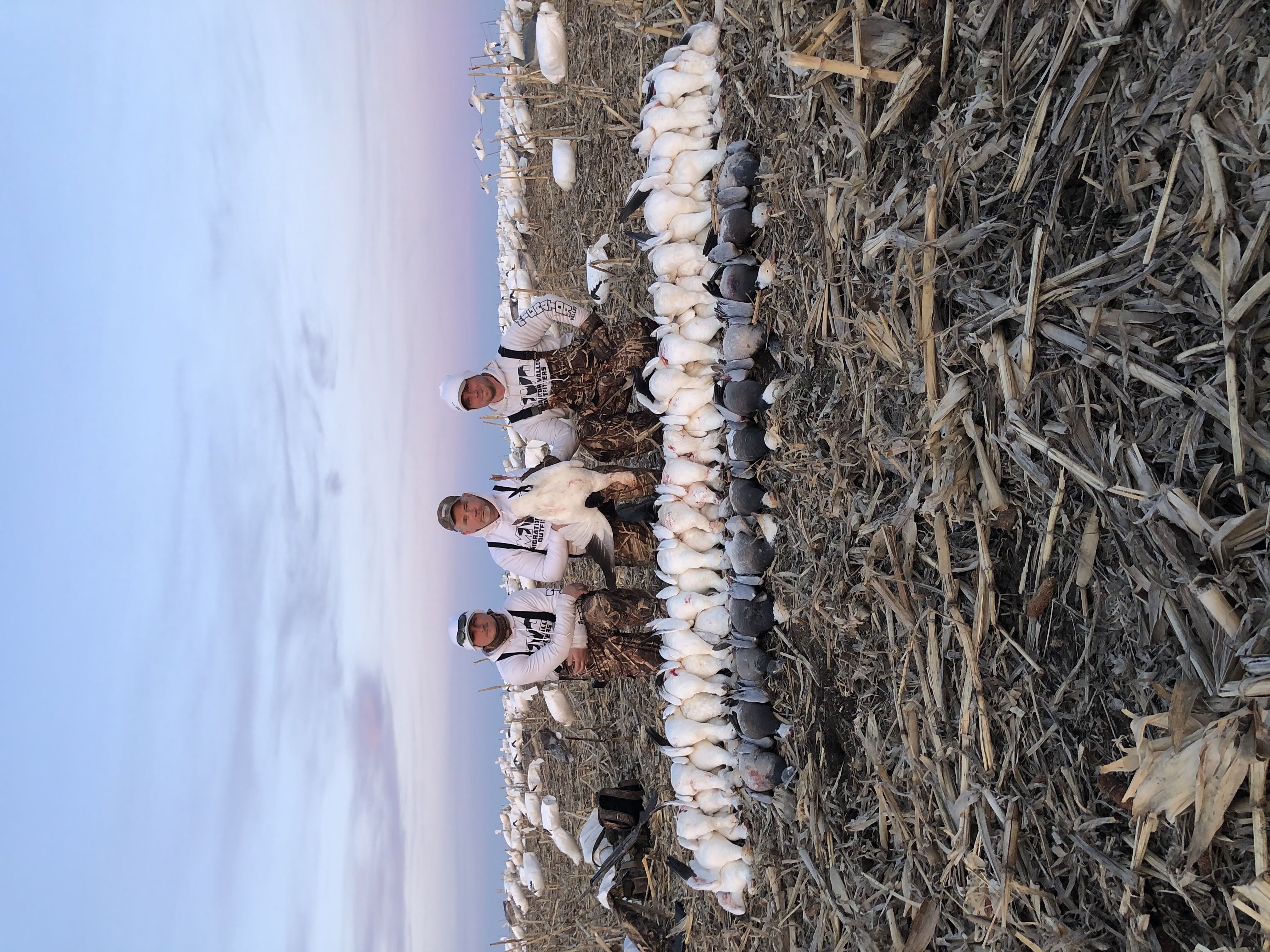 Spring Snow Goose Hunts Whiteout Outfitters 134