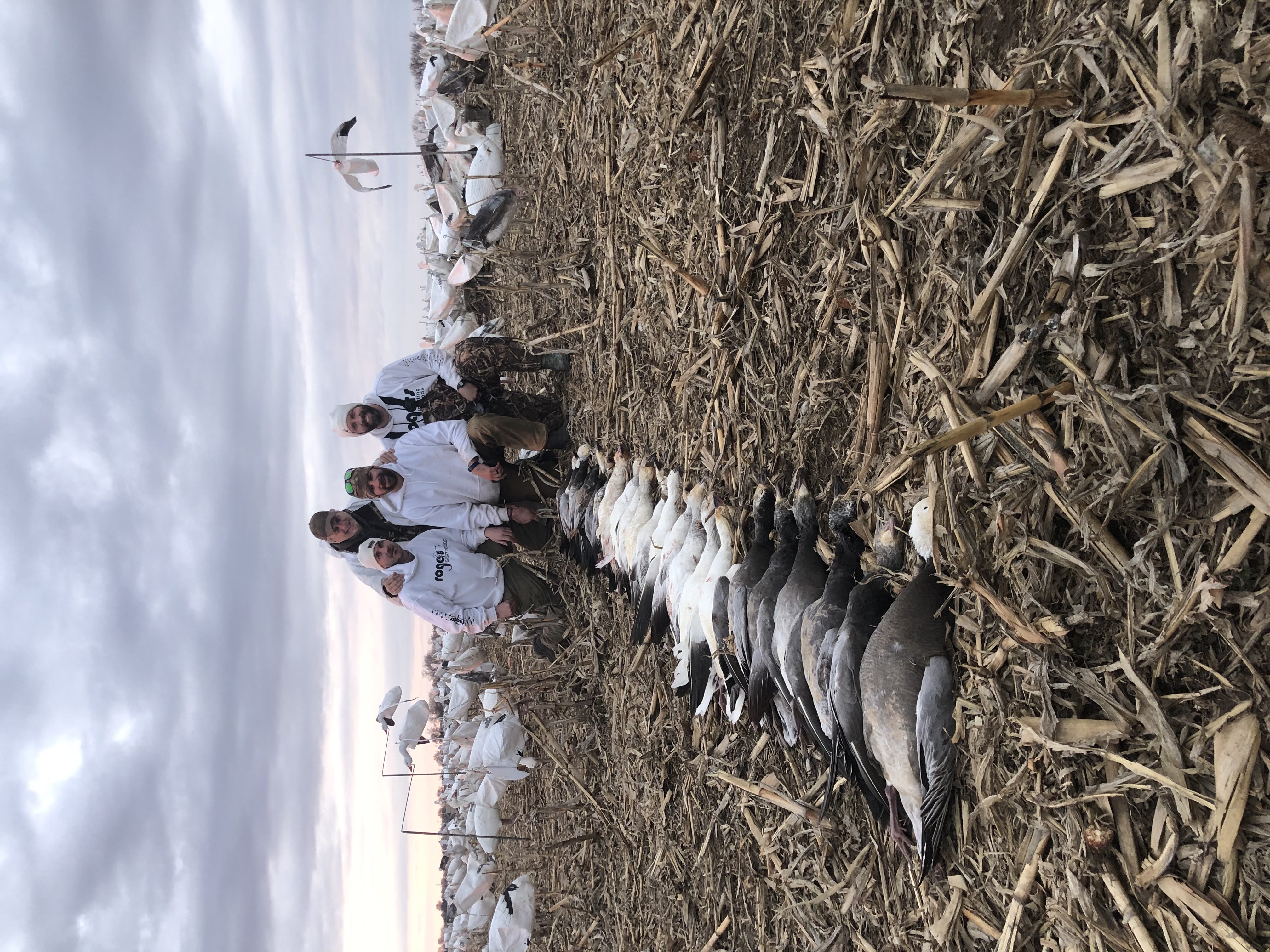 Spring Snow Goose Hunts Whiteout Outfitters 135