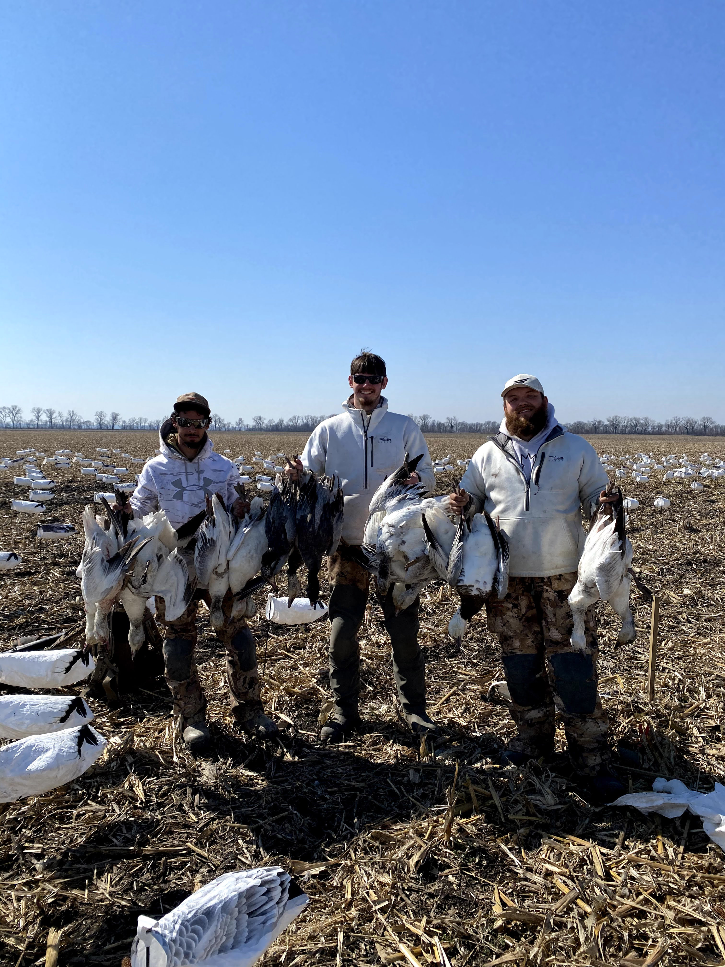 Spring Snow Goose Hunts Whiteout Outfitters 67