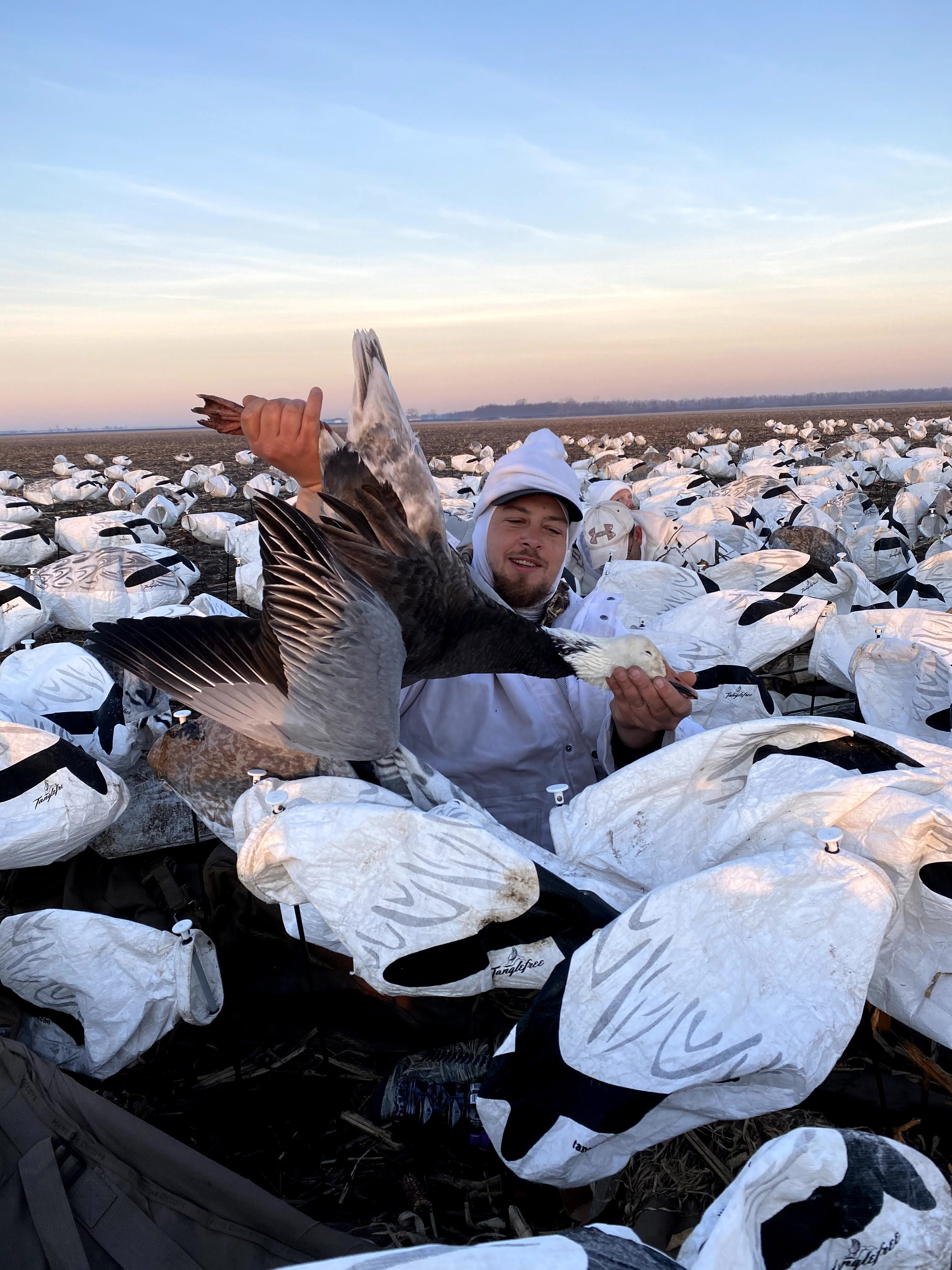 Spring Snow Goose Hunts Whiteout Outfitters 69