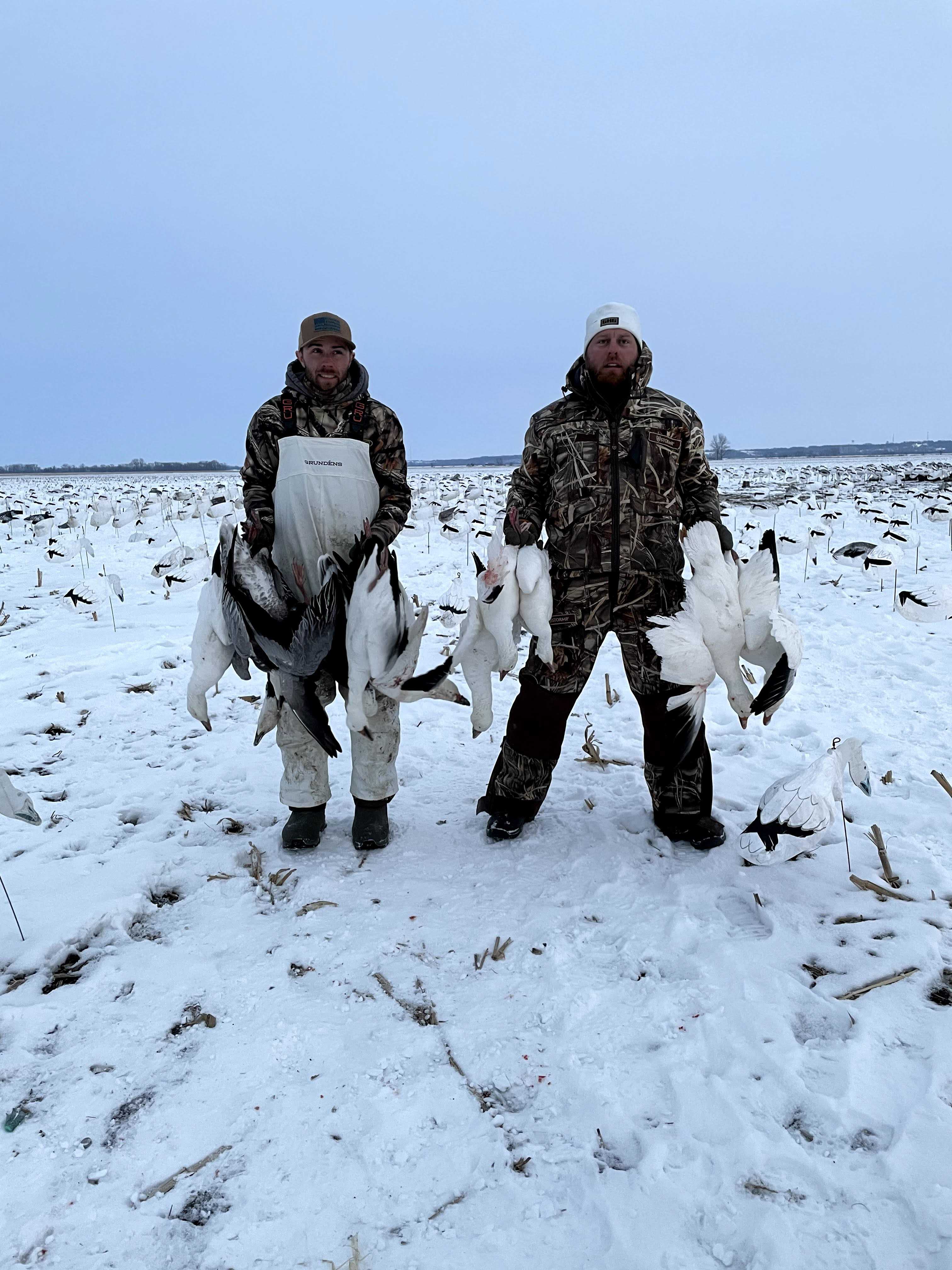Spring Snow Goose Hunts Whiteout Outfitters 72