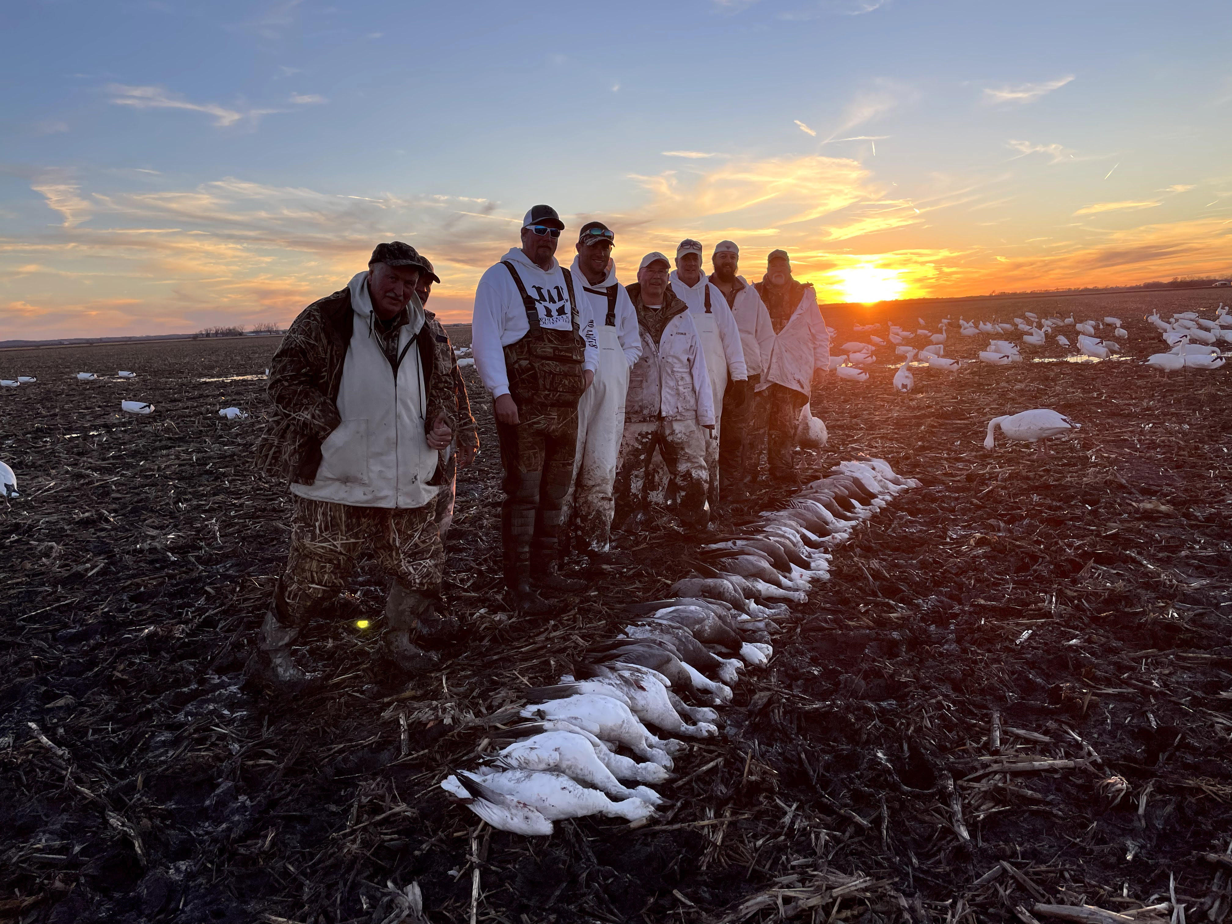 Spring Snow Goose Hunts Whiteout Outfitters 79