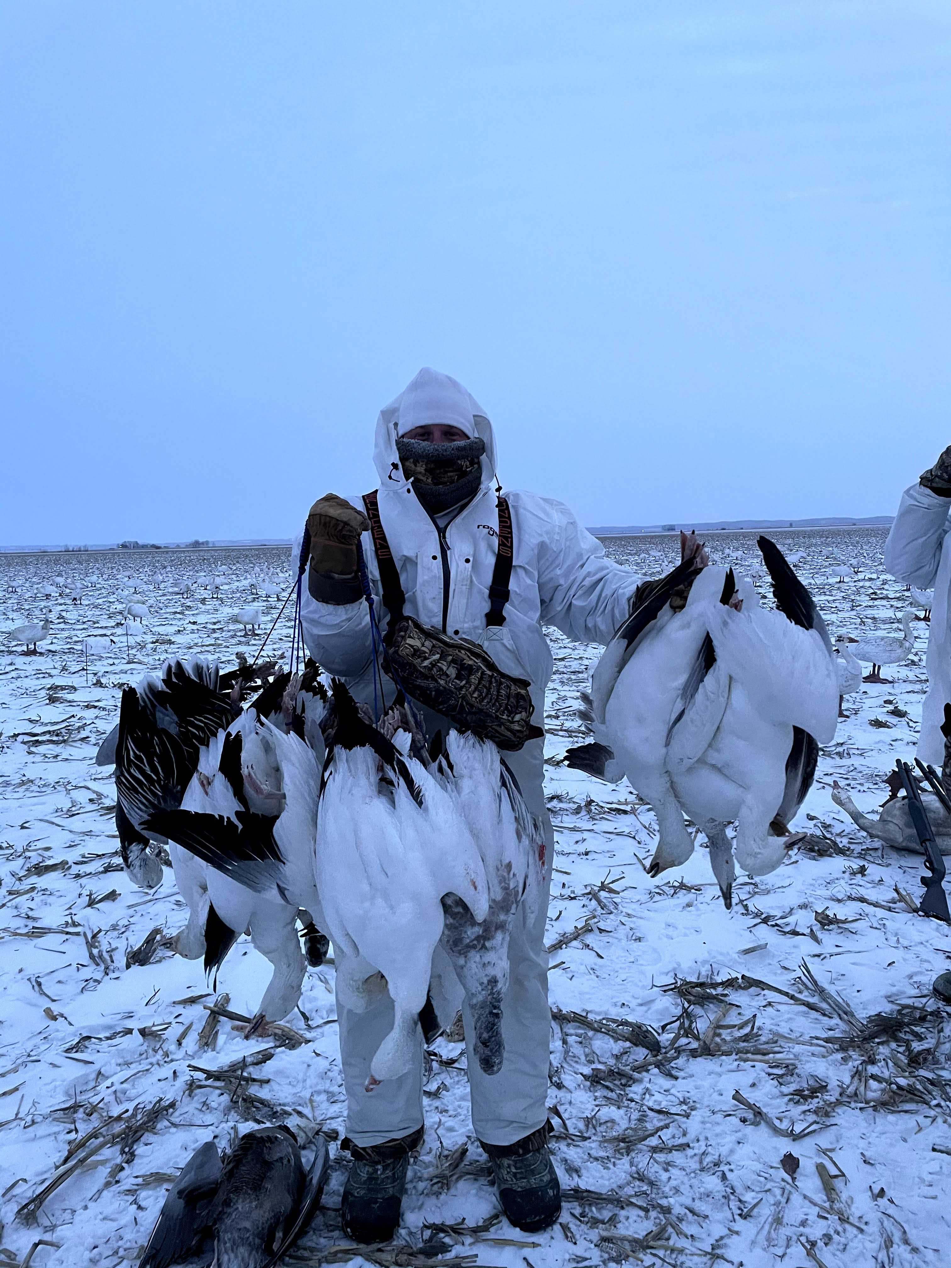 Spring Snow Goose Hunts Whiteout Outfitters 87