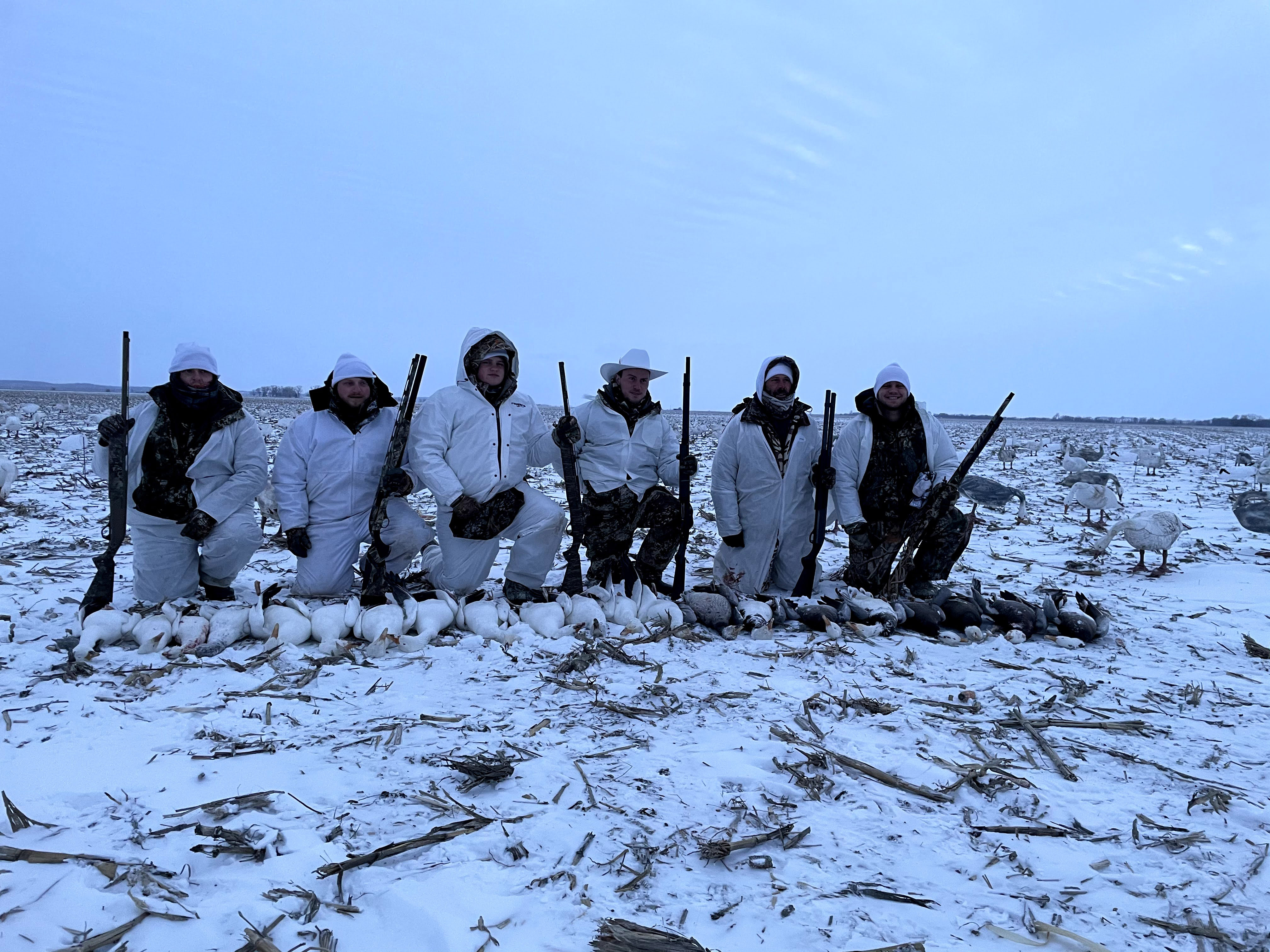 Spring Snow Goose Hunts Whiteout Outfitters 88