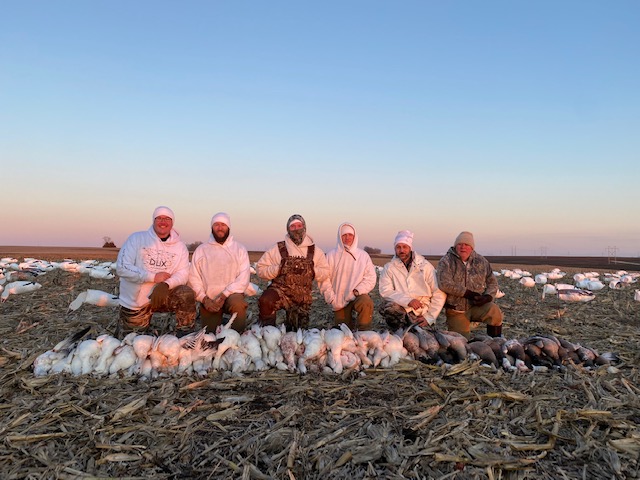 Spring Snow Goose Hunts Whiteout Outfitters 37