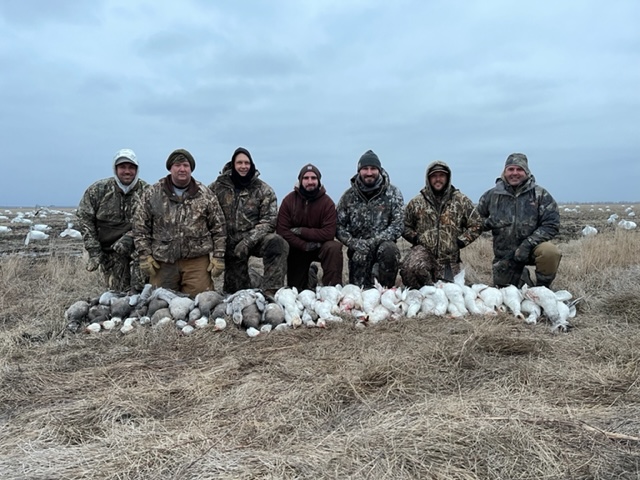 Spring Snow Goose Hunts Whiteout Outfitters 43