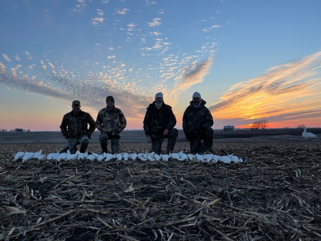 Spring Snow Goose Hunts Whiteout Outfitters 45