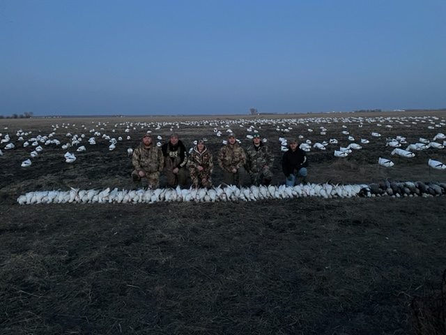 Spring Snow Goose Hunts Whiteout Outfitters 49