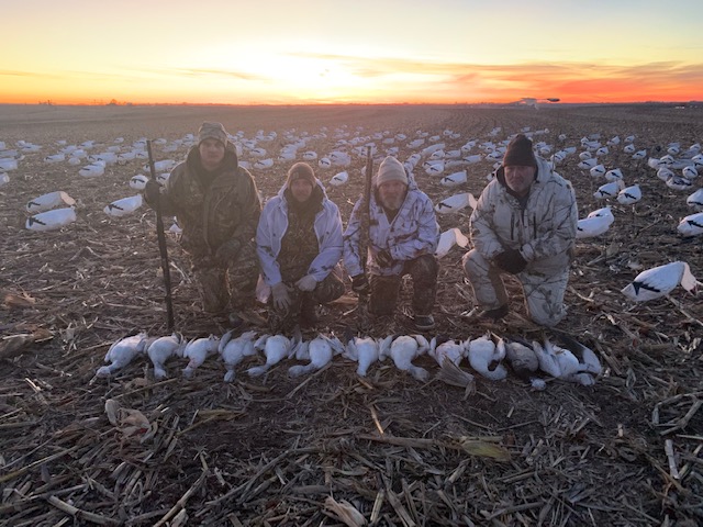 Spring Snow Goose Hunts Whiteout Outfitters 54