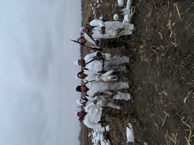 Spring Snow Goose Hunts Whiteout Outfitters 57