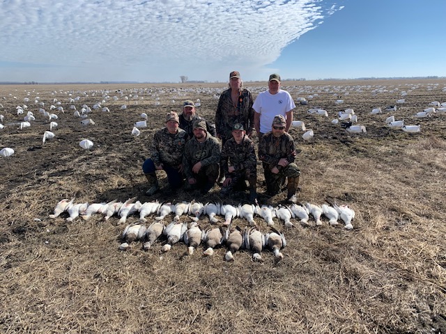 Spring Snow Goose Hunts Whiteout Outfitters 60