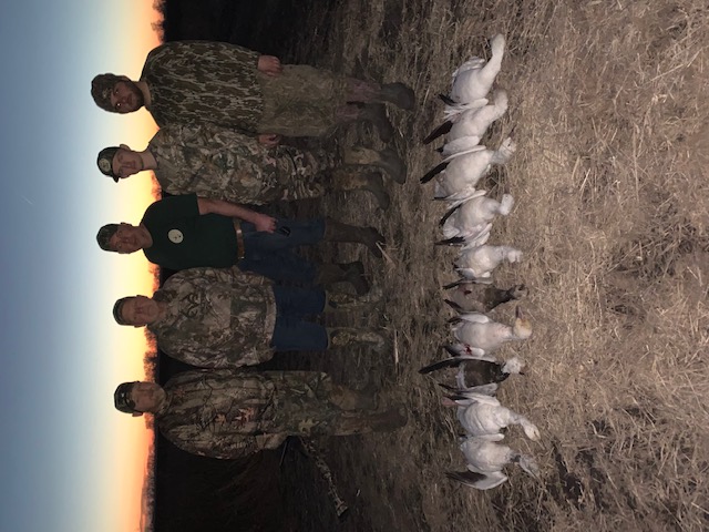 Spring Snow Goose Hunts Whiteout Outfitters 61