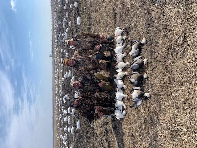Spring Snow Goose Hunts Whiteout Outfitters 64